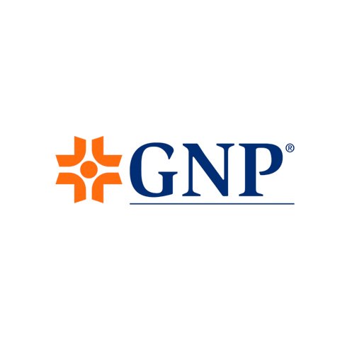 GNP Grupo Nacional Provincial