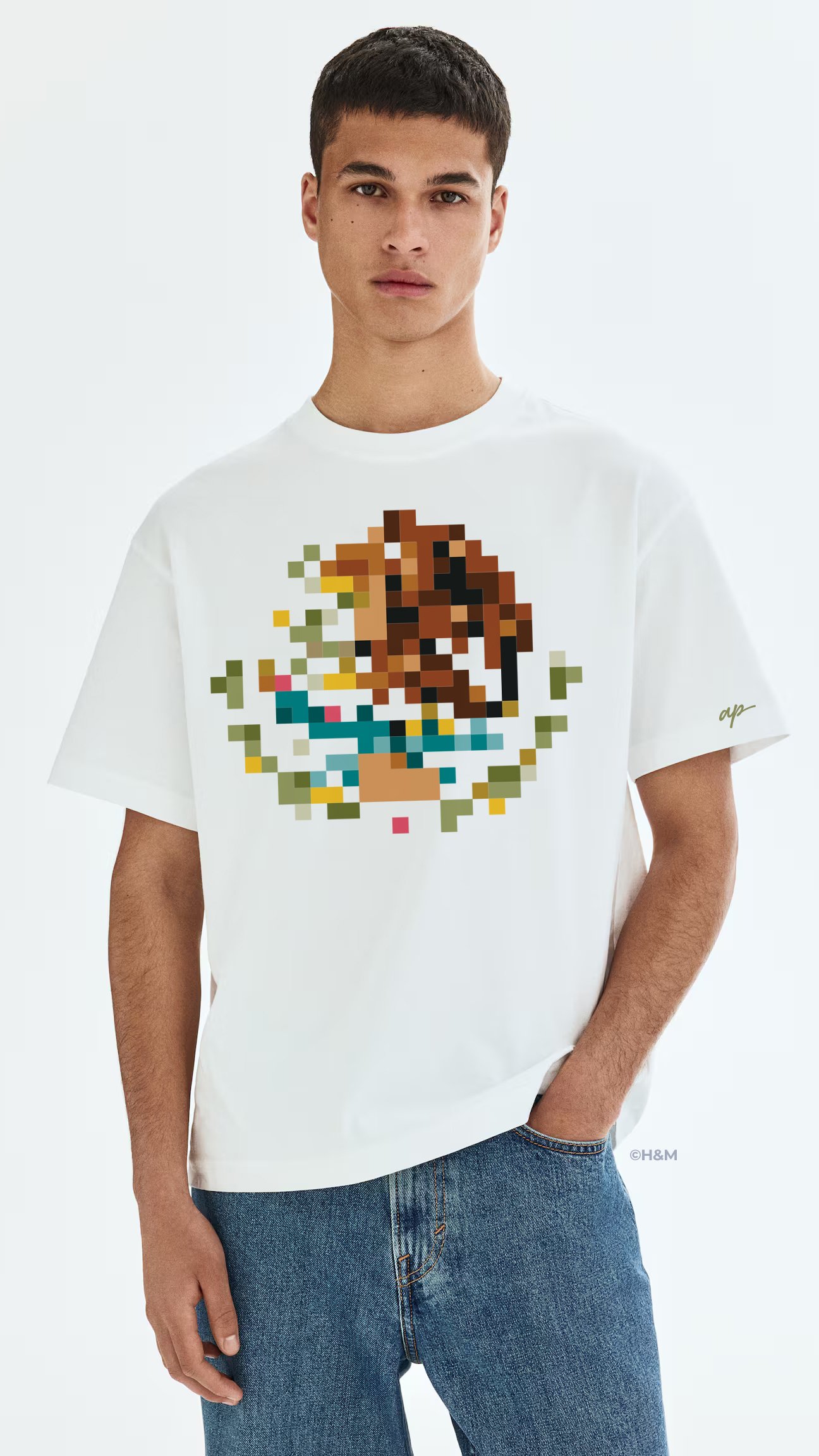 Escudo Nacional en Camiseta H&M Intervención